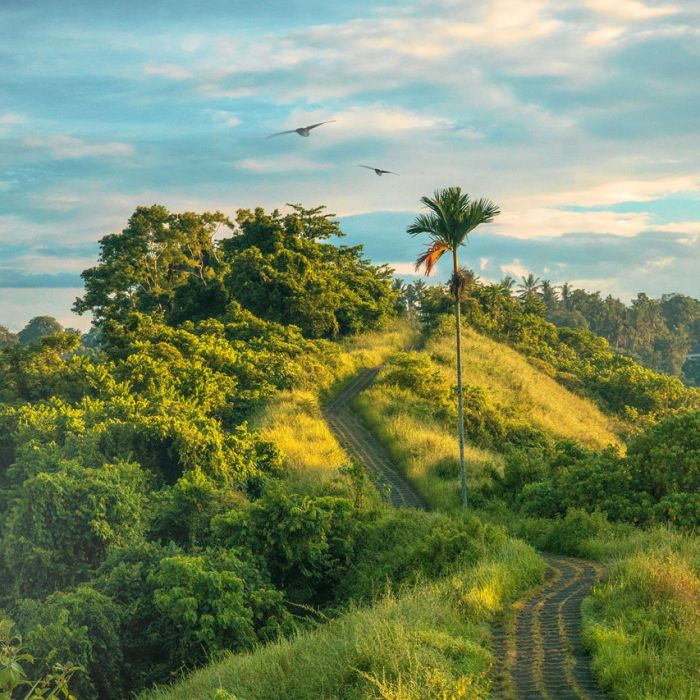 Super Simple Post (Demo)