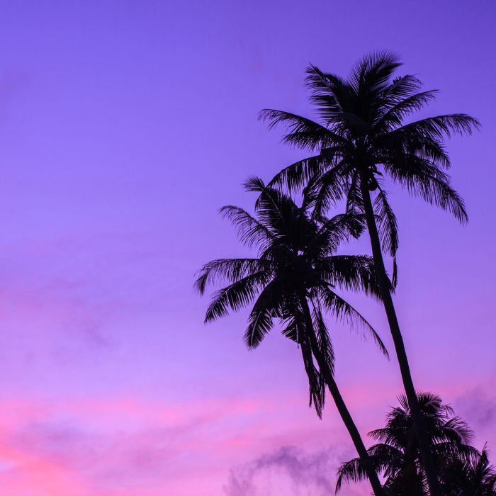 Small Blog Post (Demo)