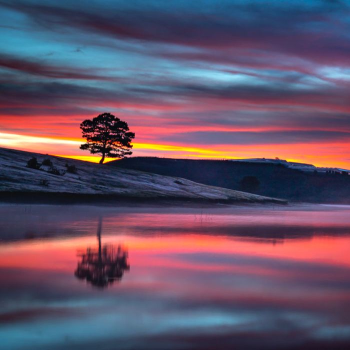 Simple Blog Bost (Demo)