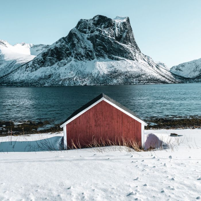 Lorem ipsum dolor sit amet, consectetur adipisicing (Demo)