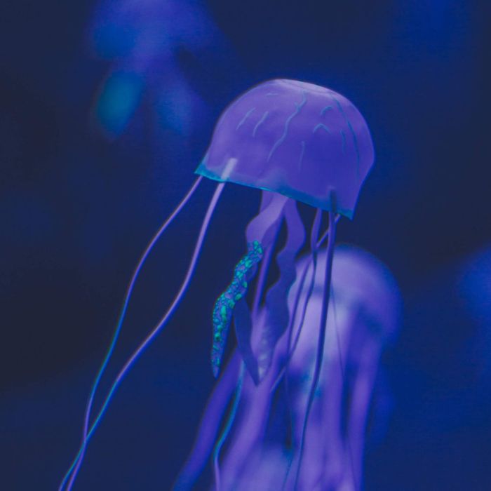 Simple Blog Post (Demo)