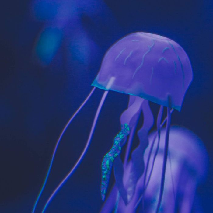 Small Blog Post (Demo)